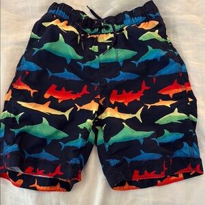 GAP Boys Colorful Shark Print Kids Swim Trunks. Medium (8). Lined. EUC
